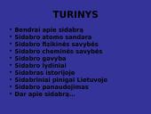 Apie sidabrą  4 puslapis