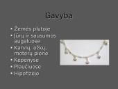 Sidabras (argentum, Ag)  8 puslapis