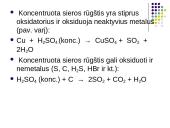 Sieros rūgštis 14 puslapis