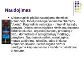 Sieros rūgštis 15 puslapis