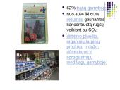 Sieros rūgštis 17 puslapis