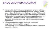 Sieros rūgštis 19 puslapis