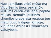 Skalbimo priemonių istorija 2 puslapis