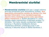 Skysčių transportavimas (siurbliai) 12 puslapis