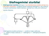 Skysčių transportavimas (siurbliai) 14 puslapis