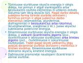 Skysčių transportavimas (siurbliai) 4 puslapis