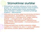 Skysčių transportavimas (siurbliai) 6 puslapis