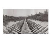 Slenksčiai 8 puslapis