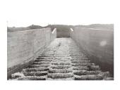 Slenksčiai 9 puslapis