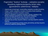 Socialinę politiką formuojančios institucijos 12 puslapis