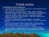 Socialinę politiką formuojančios institucijos 13 puslapis