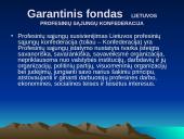 Socialinę politiką formuojančios institucijos 14 puslapis