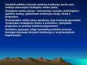 Socialinę politiką formuojančios institucijos 4 puslapis