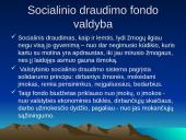 Socialinę politiką formuojančios institucijos 9 puslapis