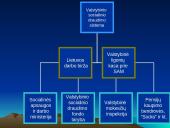 Socialinę politiką formuojančios institucijos 10 puslapis