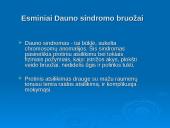 Socialinio darbuotojo veikla, dirbant su Dauno sindromą turinčiais asmenimis 4 puslapis
