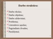 Socializacijos procesas vaikystėje 2 puslapis