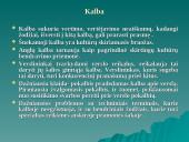 Sociokultūrinės jėgos 12 puslapis