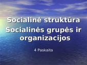 Socialinė struktūra