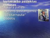 Socialinė struktūra 11 puslapis