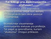 Socialinė struktūra 13 puslapis