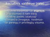 Socialinė struktūra 14 puslapis