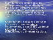 Socialinė struktūra 16 puslapis