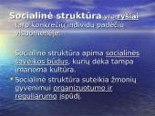 Socialinė struktūra 4 puslapis