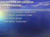 Socialinė struktūra 5 puslapis