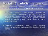 Socialinė struktūra 6 puslapis