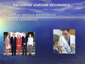Socialinė struktūra 7 puslapis