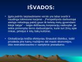 Spartus tarptautinio verslo sąvokos kitimas 9 puslapis