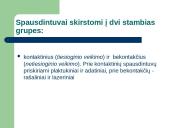 Spausdintuvai. Braižytuvai 2 puslapis