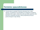 Spausdintuvai. Braižytuvai 12 puslapis