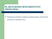 Spausdintuvai. Braižytuvai 14 puslapis
