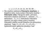 Spiralinis augimas ir fibonačio skaičiai 2 puslapis