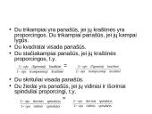 Spiralinis augimas ir fibonačio skaičiai 14 puslapis