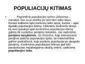 Spiralinis augimas ir fibonačio skaičiai 17 puslapis