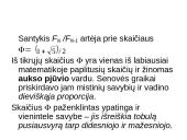 Spiralinis augimas ir fibonačio skaičiai 8 puslapis