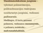 Stambiamolekuliniai junginiai vadinami polimerais 2 puslapis