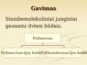 Stambiamolekuliniai junginiai vadinami polimerais 5 puslapis