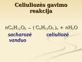 Stambiamolekuliniai junginiai vadinami polimerais 9 puslapis