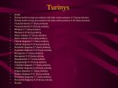 Statistinis tyrimas: pamokų ruoša 2 puslapis