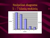 Statistinis tyrimas: pamokų ruoša 14 puslapis