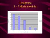 Statistinis tyrimas: pamokų ruoša 16 puslapis