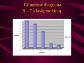 Statistinis tyrimas: pamokų ruoša 20 puslapis