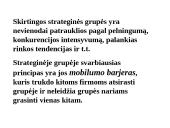 Strateginių grupių analizė 4 puslapis