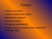 Viskas apie stuburą 2 puslapis