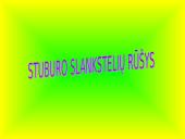 Viskas apie stuburą 5 puslapis