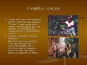 Subkultūros 15 puslapis